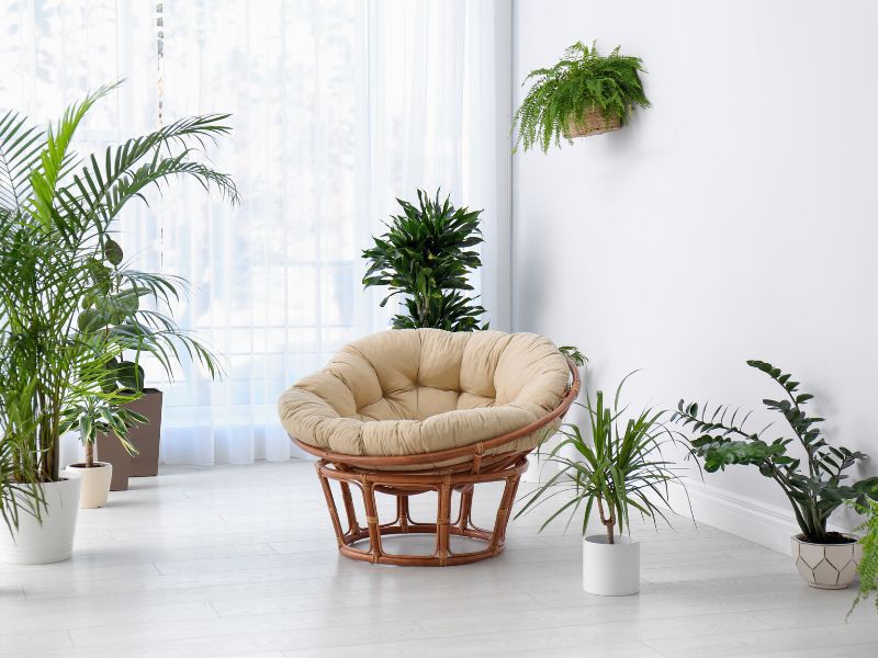 15 Affordable Indoor Plant Decor Ideas to Make Your Home Feel Cozy, Stylish, and Vibrant in 2026